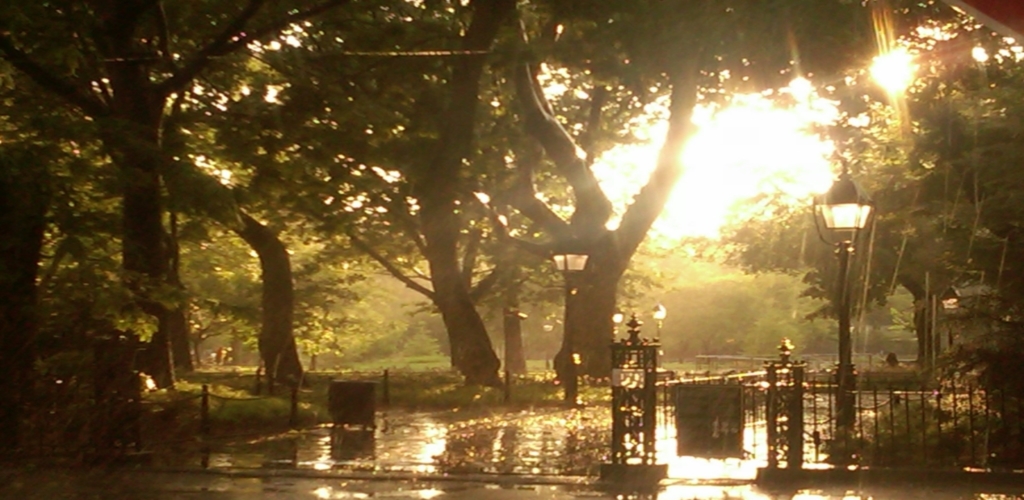 Washington Square Park